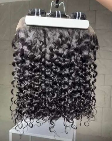 Burmese Curly
